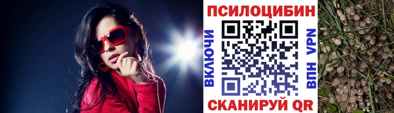 Купить где  Лукоянов  Галлюциногенные грибы Magic Shrooms 